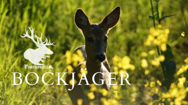 BOCKJÄGER 9 - Das Geduldsspiel