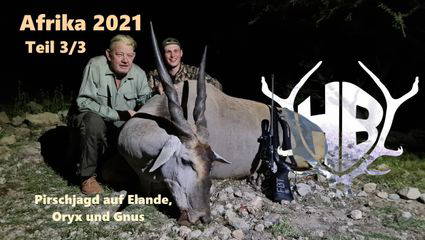 auf Elande, Oryx und Gnus - Afrika 2021 Teil 3/3