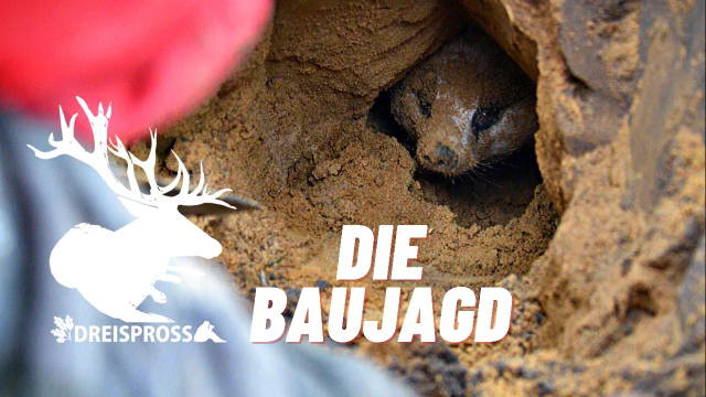 Ein Berufsjäger erklärt - DIE BAUJAGD
