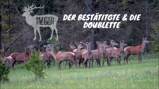 DER BESTÄTIGTE & DIE DOUBLETTE
