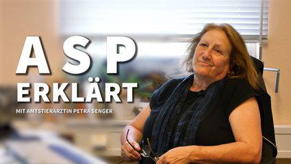 Die ASP erklärt – Interview mit der Amtstierärztin Petra Senger
