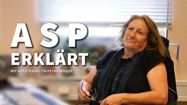 Die ASP erklärt – Interview mit der Amtstierärztin Petra Senger