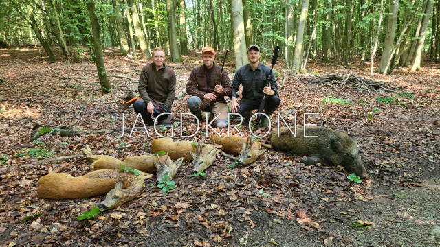 Jagd im Urwald von Meckpomm | Der Wunderwald Staffel 2