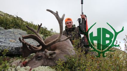 Rentierjagd in Norwegen