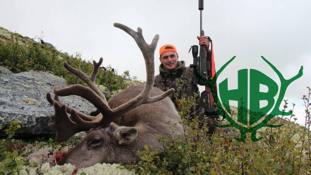Rentierjagd in Norwegen