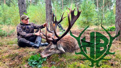 Paul´s 22 Ender - Rotwildbrunft in der Jännersdorfer Heide