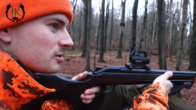 Januar Drückjagd im Naturwaldreservat