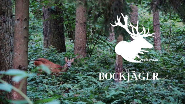 BOCKJÄGER 11 - Sommer, Blattjagd und die erste Sau