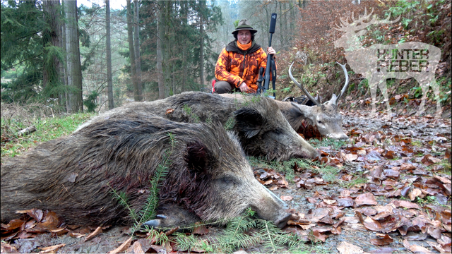 Drückjagd - 3x Waidmannsheil für Leon