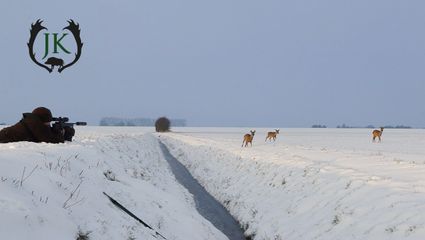 Schneepirsch im Feld