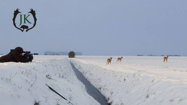 Schneepirsch im Feld