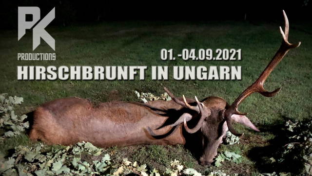 HIRSCHBRUNFT IN UNGARN, 01.-04.09.2021