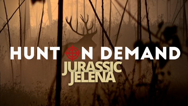 Jurassic Jelena I Hirschbrunft in Serbien