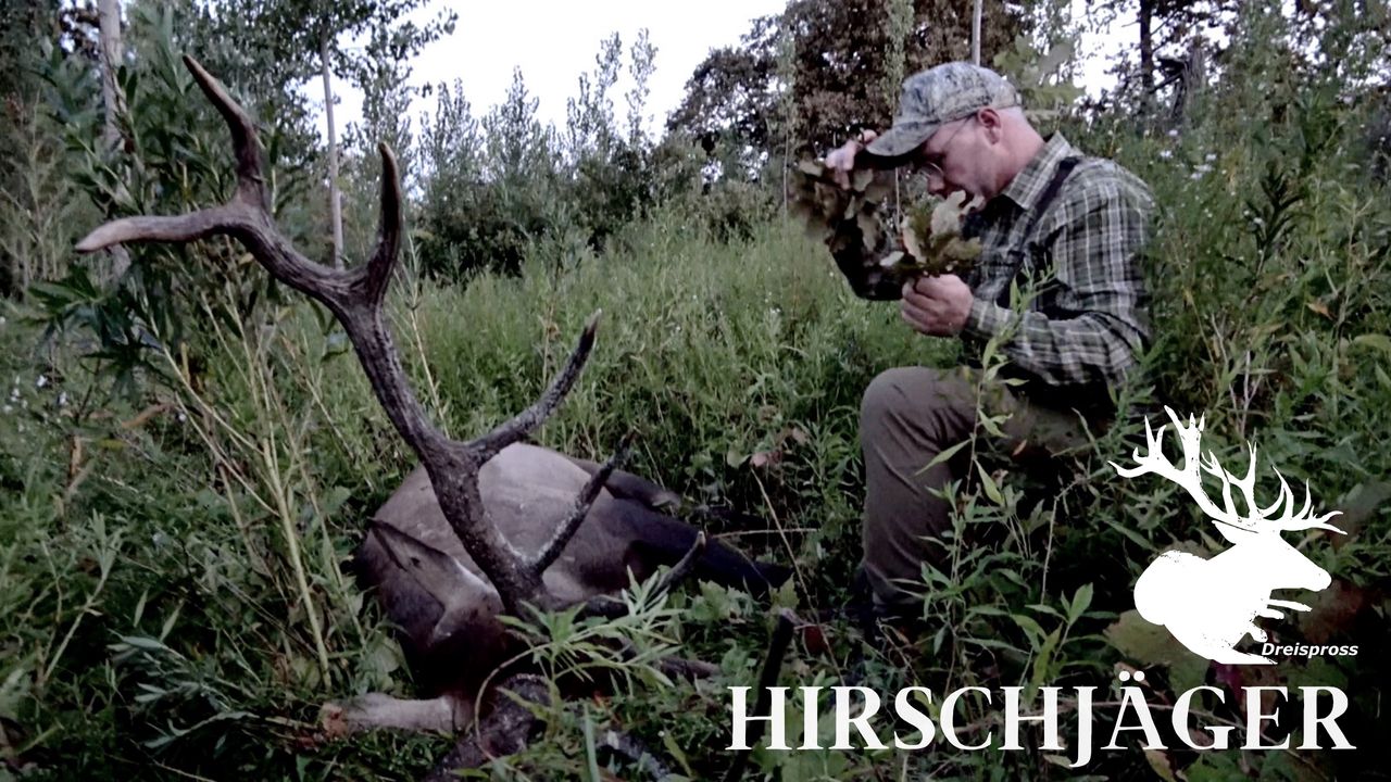 HIRSCHJÄGER  | Wo sich Jäger, Hirsch und Keiler das Tageslicht teilen