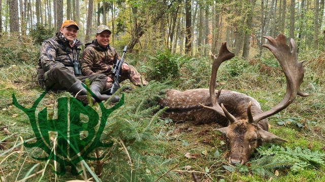 Damwildbrunft im Forstgut Reilmann 2021