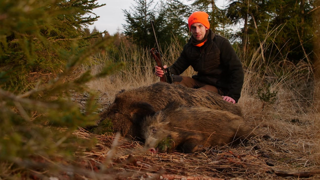 HUNTINGTOMMES