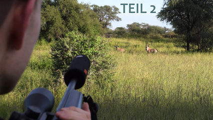 Der Oryx Tag | Namibia Teil 2