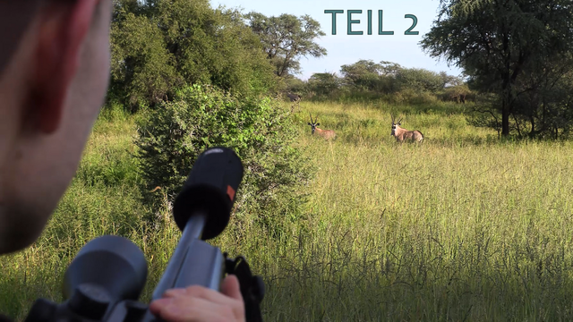 Der Oryx Tag | Namibia Teil 2