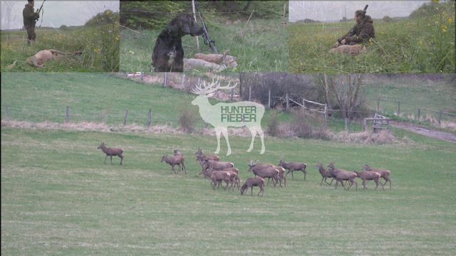 Auf Bockjagd mit Hunterfieber - 3x Waidmannsheil