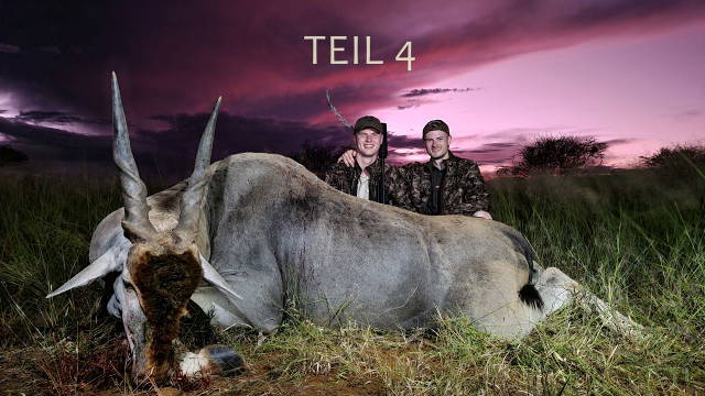 Der Eland Bulle - größte Antilope Afrikas | Teil 4