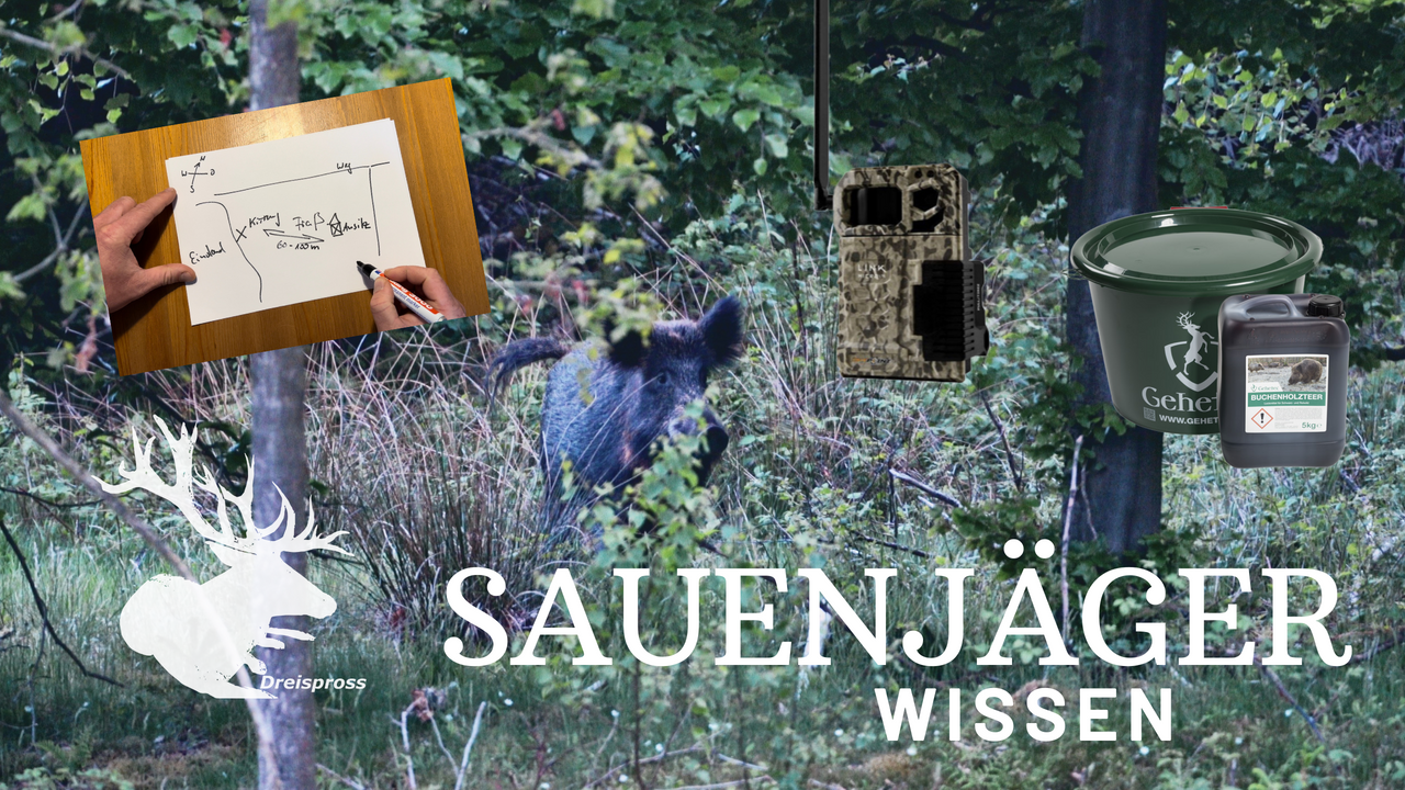 SAUENJÄGER WISSEN | Kirrung