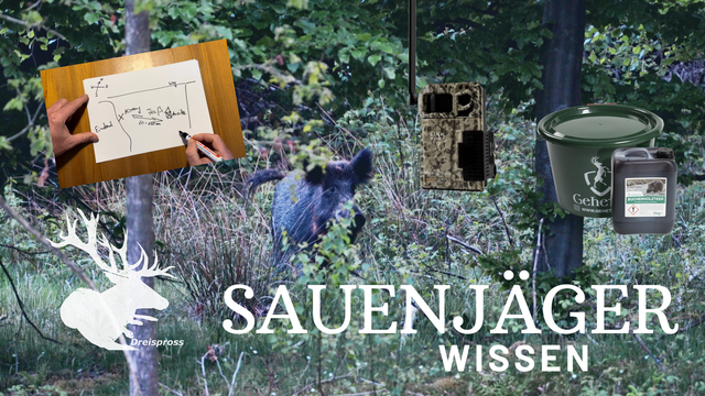 SAUENJÄGER WISSEN | Kirrung