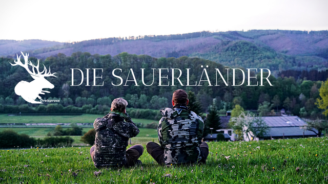 DIE SAUERLÄNDER
