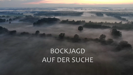 Bockjagd - Auf der Suche nach dem Abnormen