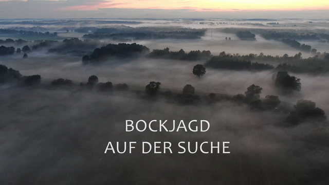 Bockjagd - Auf der Suche nach dem Abnormen