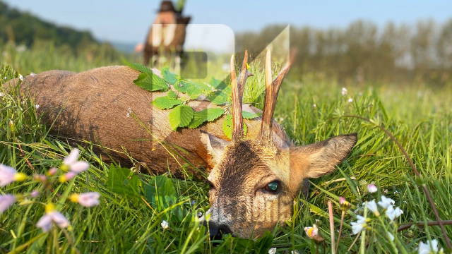 Auf Jagd mit den Huntresses.30_06 - Teil 2