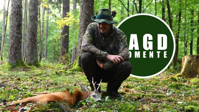 Blattjagd im Trockenjahr 2022 | JagdMomente