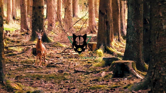 Blattjagd mit Freunden Teil 1