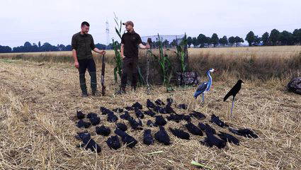 5.0 Crow Hunting | Der Himmel wird dunkler