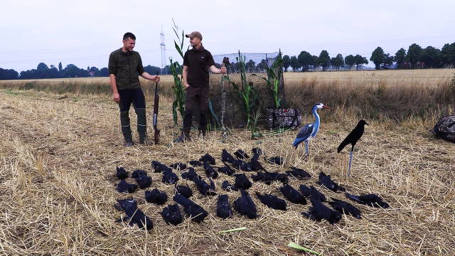 5.0 Crow Hunting | Der Himmel wird dunkler