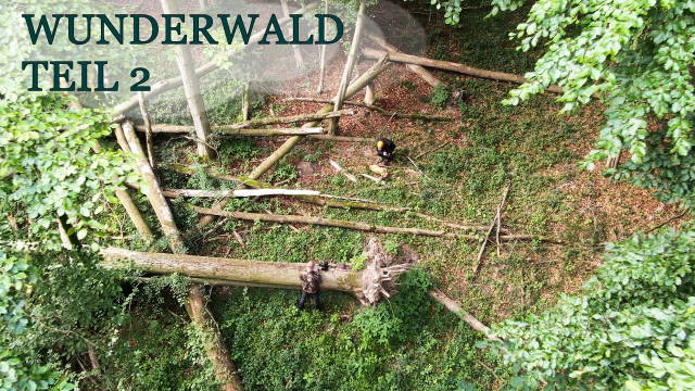 Der Wunderwald | Mecklenburg-Vorpommern Staffel 3 Folge 2