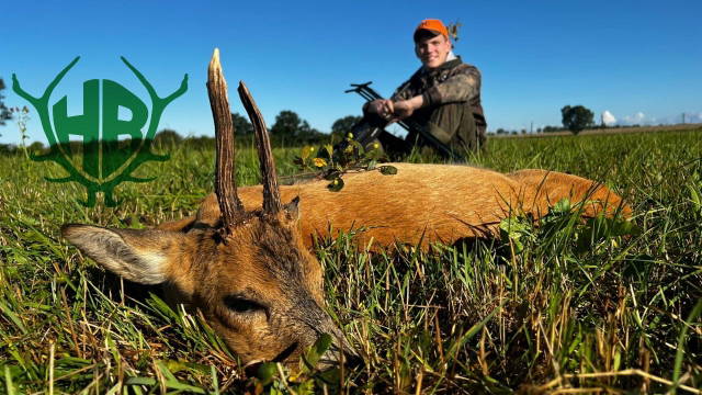 Blattjagd in der Heimat