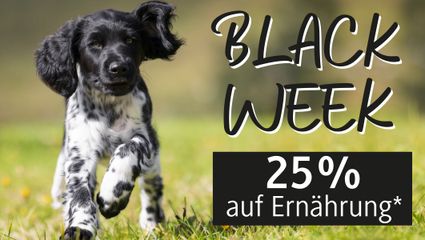 BLACK WEEK bei Hubertus Gold®