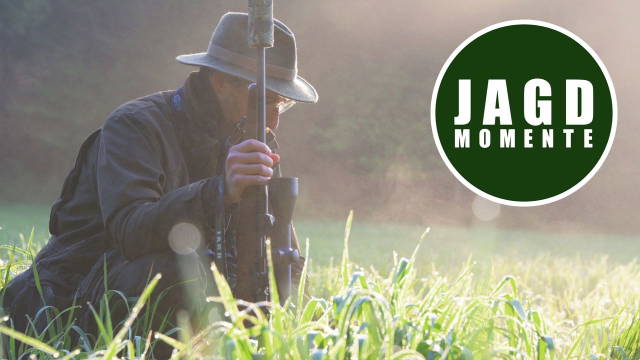 Reiche Beute im Frühherbst | JagdMomente