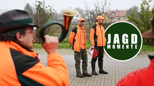 Drückjagd in der Oberpfalz | JagdMomente