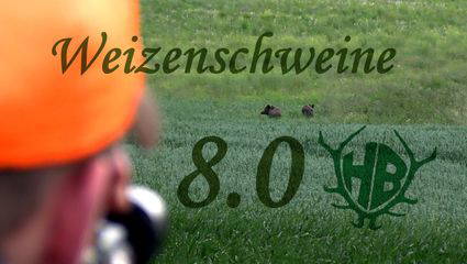 Weizenschweine 8.0