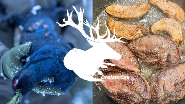 ABENTEUER SCHWEDEN | Birkhahn à la Hutterer