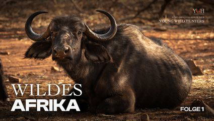 Wildes Afrika: EP.1 - Im Herzen von Simbabwe