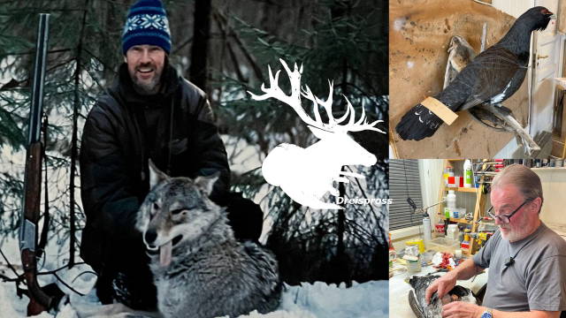 ABENTEUER SCHWEDEN | JØRAN TEIG - Zu Besuch beim schnellsten Präparator Norwegens