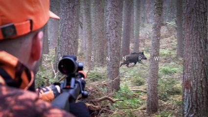 Drückjagd des Jahres – Die NRW-Perspektive