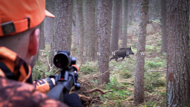 Drückjagd des Jahres – Die NRW-Perspektive