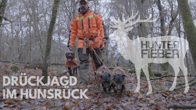 DRÜCKJAGD IM HUNSRÜCK