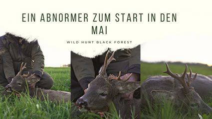 Ein Abnormer zum Start in den Mai