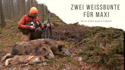 Zwei Weissbunte für Maxi