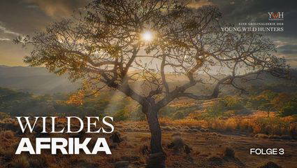 Wildes Afrika - Der graue Geist