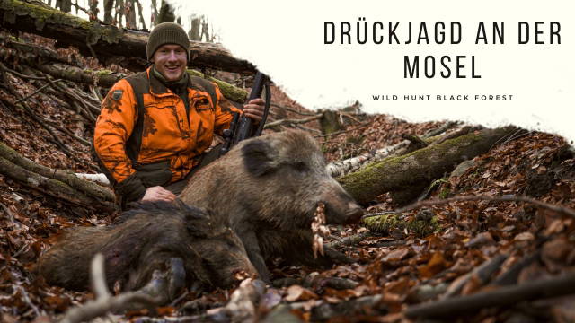 Drückjagd an der Mosel mit den Schwarzwaldhunters